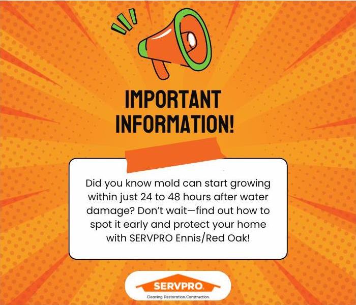 orange and green mold fact with a cartoon mega phone