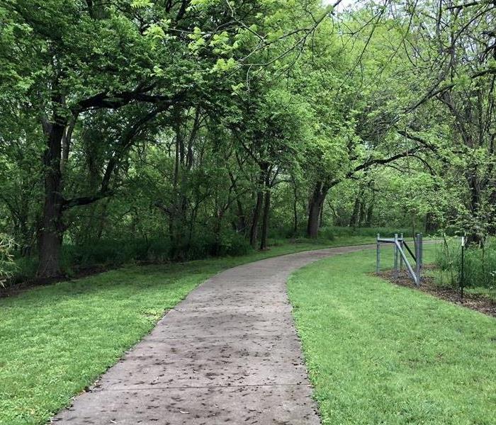 Paved path through wooded park-like area
